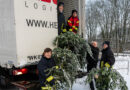 Blaulichtjugend zum Baumsammeln ausgeschwärmt